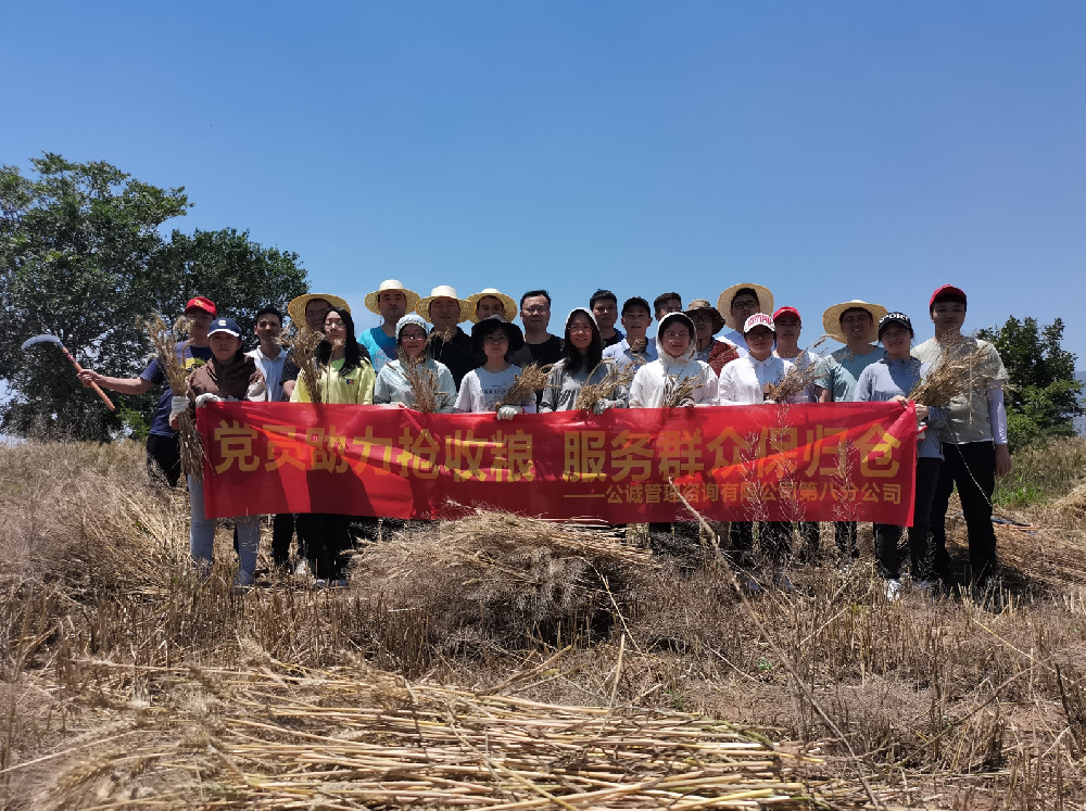 党员助力抢收粮，服务群众保归仓——k8凯发(中国)咨询公司号召党员为群众办实事，助力陕西桥陵镇农户“夏粮”抢收